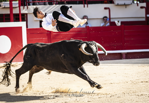 DSC09744 (JLL)